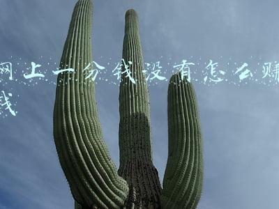 网上一分钱没有怎么赚钱