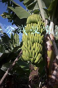 5分钱特效网(2021年度十大烂剧，最高3.4分，最低只有2.5分，真是无法直视)