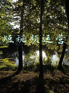 厦门短视频拍摄(厦门地铁内拍摄搞怪视频？网友怒了：地铁不是“秀场”！)