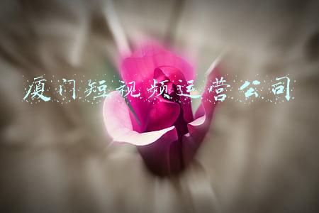 厦门电商代运营公司(通拓、安克创新入局代运营，大卖的尽头终将是服务商？)
