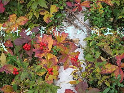 什么事情最赚钱(春节期间，最值得做的10件小事)