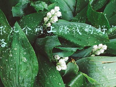 求赚钱的门路(与其跟随别人，不如自己另辟道路，这几条赚钱门路，值得你一试！)