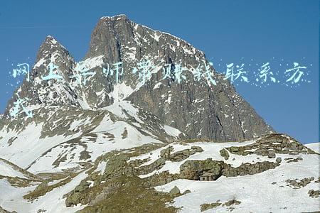 导师联系方式(复试提前多久“联系导师”！导师“联系方式”在哪里找)