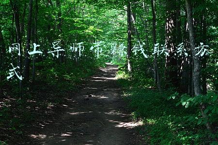 研究生导师联系方式(考研复试、调剂：怎样才能联系到研究生导师，我就是这样找到的)