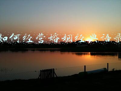 婚姻经营的经典语录-经营婚姻语录太经典了了