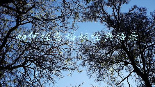 婚姻经营的经典语录：经营婚姻经典台词