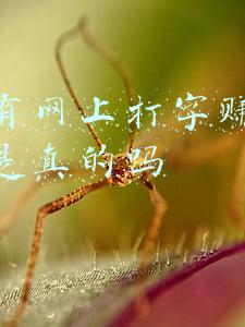 网上打字的兼职是真的还是假的(公安小编经历过的“打字员骗局”......)