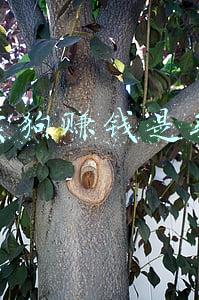 被网上卖狗的骗了怎么办(游戏被骗充值怎么办？网上玩游戏遇到游戏托骗我钱报警会受理吗？)