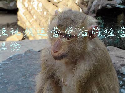 短视频运营意义(粗谈短视频内容平台的本质)