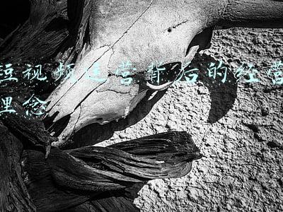 连锁酒店经营理念(《连锁干货》：连锁专卖店 9 种经营模式及优劣势分析)