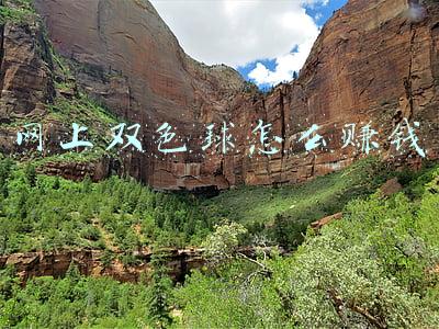怎么样在网上买双色球(双色球的几种购买方式，你知道几种？)