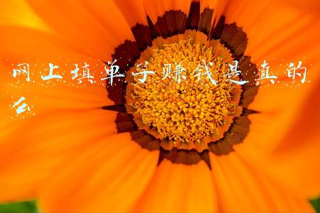 网上填单子赚钱是真的么