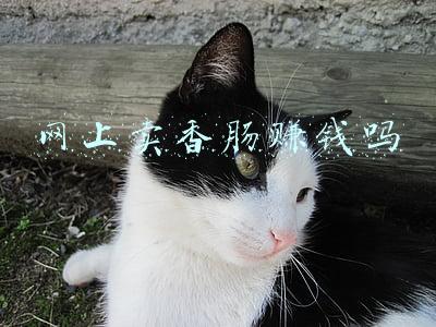 香肠视频网(初冬灌肠季，教你几十年的配方，香肠鲜香好吃不长霉，放1年不坏)