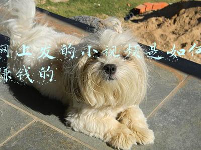 如何在网上发视频(视频剪辑不想被扣分，就来一起注意这个小细节)