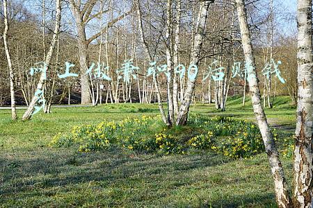 90后文学网(小说：担任设计师，老员工嫌弃资历不够？她拿出傲人成绩啪啪打脸)
