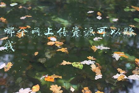 赚钱项目资源网(草根创业资源网-专注分享互联网赚钱创业项目)