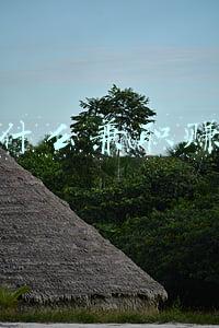 网上兼职赚钱日结(深圳某生物厂，今天又招了100多名日结工，15块钱一小时)