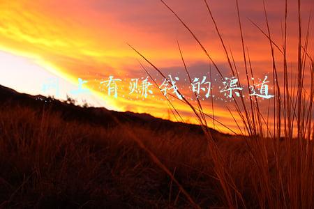 怎样找网上的各种挣钱渠道(怎么在互联网上赚钱？互联网赚钱的四个步骤)