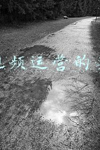 短视频运营的英文