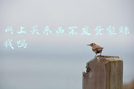 网上买东西怎么维权(在网上买到假货，该怎样维权？)