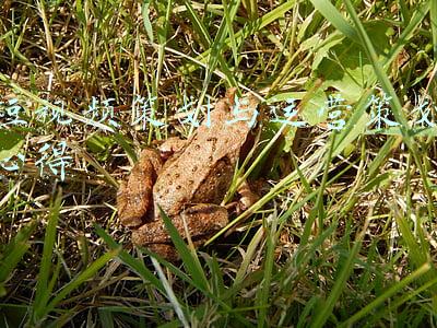 短视频策划与运营策划心得