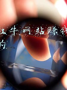 网上红牛网站赚钱是不是真的
