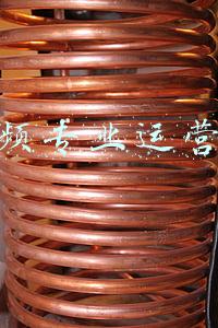 专业运营团队(创业公司是否需要专业的业务运营团队？)