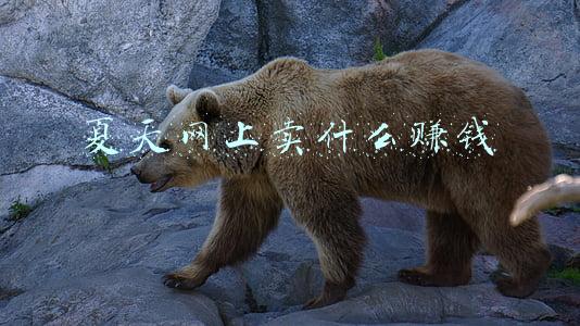 夏天网上卖什么赚钱