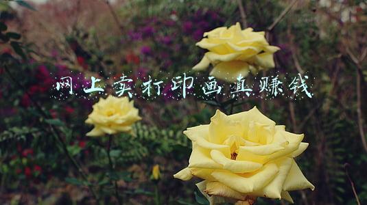 网上卖打印画真赚钱