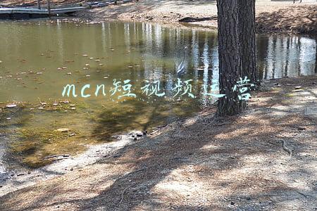 短视频mcn机构(2021 MCN机构排行榜)