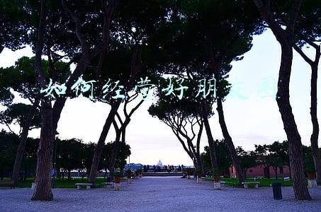 如何经营好朋友圈的十大秘诀《如何更好的经营朋友圈》