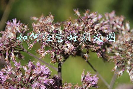 如何经营好朋友圈的总结-如何经营好朋友圈的十大秘诀