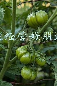 怎样利用朋友圈营销（如何经营好朋友圈课件）