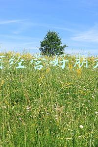 如何经营好朋友圈,做好线上销售；做销售怎样经营朋友圈