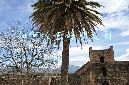 如何经营你的朋友圈，如何经营你的朋友圈让它真正为你成长助益