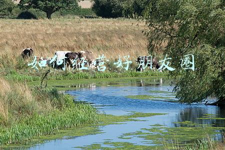 微商如何经营朋友圈；宣布自己做微商的朋友圈