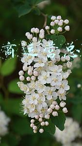 电子商务总监和电商运营总监(当预制菜加入年夜饭阵营)