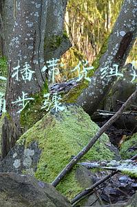 抖音直播带货组建团队的正确步骤