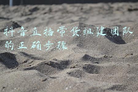 抖音直播带货组建团队的正确步骤