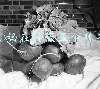 宝妈在抖音五个赚钱