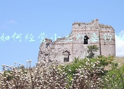 新型小龙虾垂钓园经营模式（龙虾垂钓经营模式）