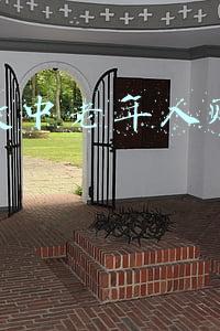 抖音教中老年人赚钱主播