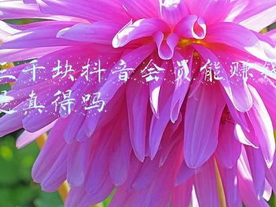 三千块抖音会员能赚钱是真得吗