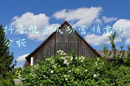 营销成功案例及分析(九道门-营销案例｜销售额下降原因分析)
