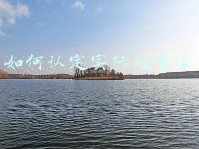 实际经营者，实际经营者与登记经营者不一致,责任承担