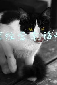 如何经营幸福婚姻家庭PPT；如何经营幸福婚姻家庭PPT