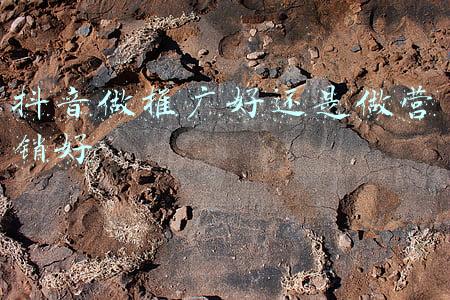 抖音做推广好还是做营销好