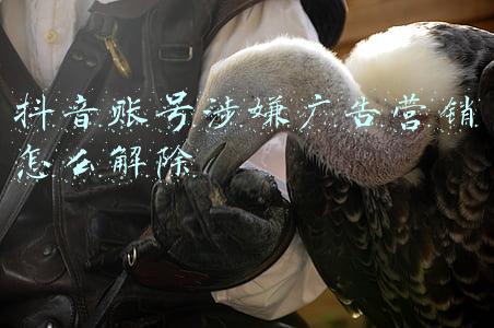 qq显示该账号涉嫌欺诈(“你的账户涉嫌诈骗，即将被冻结！！！” 别信！这是诈骗电话)
