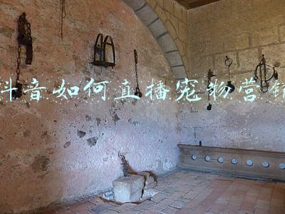 抖音如何直播手机游戏(抖音直播运营操作技巧（超详细）)