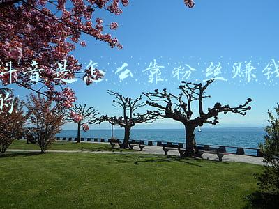 抖音有粉丝怎么赚钱(抖音账号粉丝20万，但无法变现赚不到钱，这样发抖音才能变现赚钱)